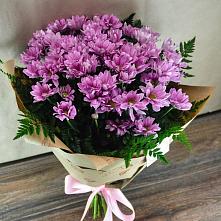 Букет цветов из:  Хризантемы #REPLACE_PRED# Лагань