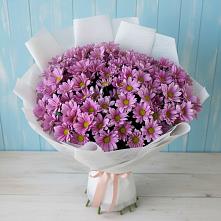Букет цветов из:  Хризантемы в Лагань
