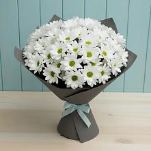 Букет цветов из:  Хризантемы #REPLACE_PRED# Лагань