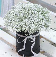 Цветочная композиция из Гипсофила в шляпной коробке #REPLACE_PRED# Лагань