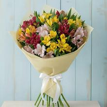 Букет цветов из:  Альстромерии в Лагань